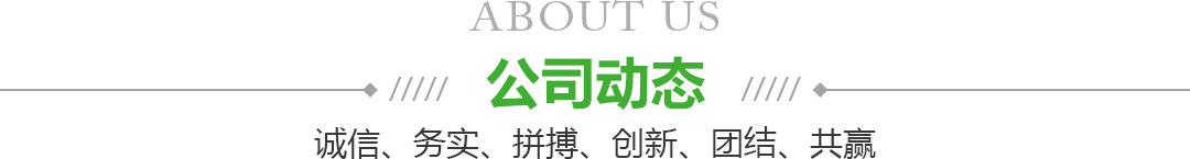 宁夏元宝娱乐果品蔬菜批发市场有限公司新闻动态