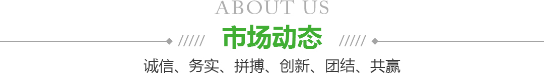 宁夏元宝娱乐果品蔬菜批发市场有限公司新闻动态